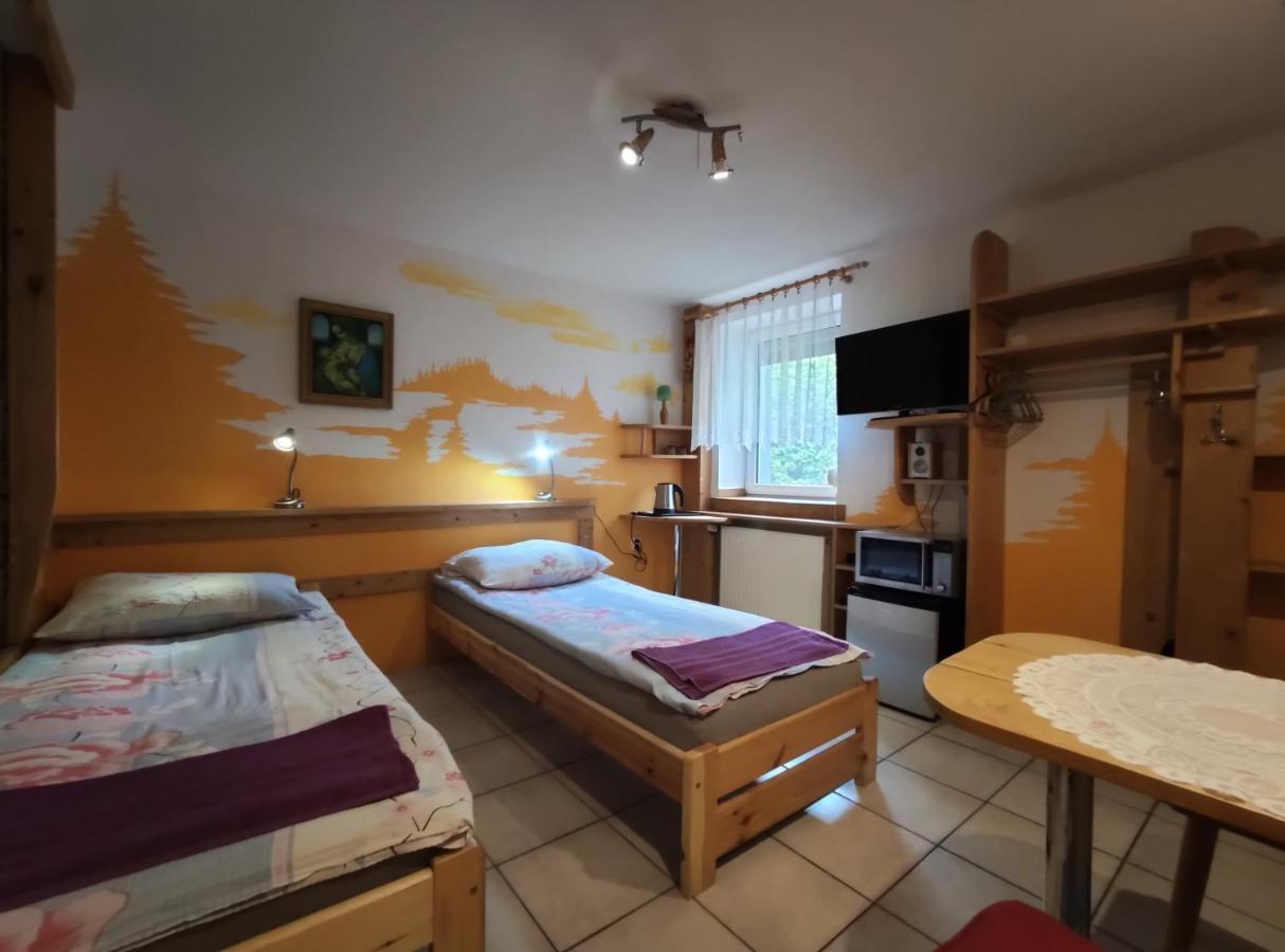 Hajnówka Agroturystyka Przylesie מראה חיצוני תמונה
