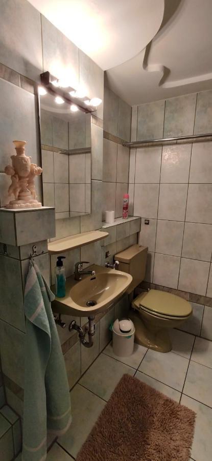 Hajnówka Agroturystyka Przylesie מראה חיצוני תמונה